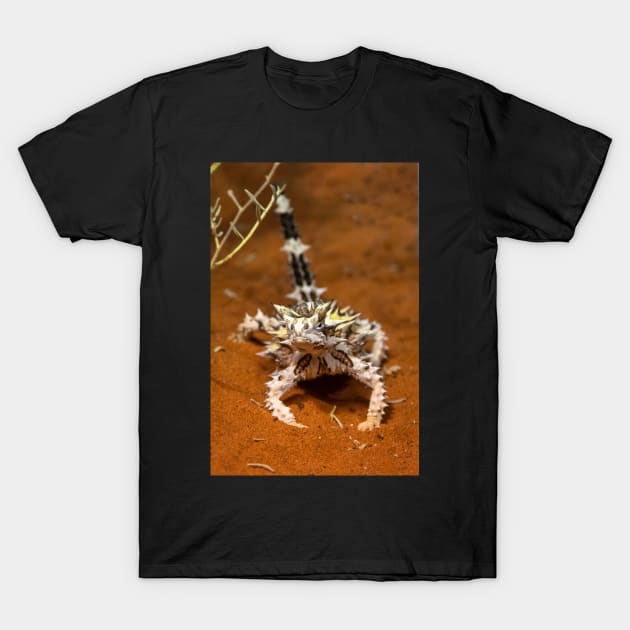 Thorny Devil, Outback Australia T-Shirt by AndrewGoodall